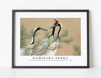 
              Kamisaka Sekka - Cranes from Momoyogusa–Flowers of a Hundred Generations (1909)
            