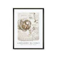Leonardo Da Vinci - Studies of the Foetus in the Womb 1510-1513