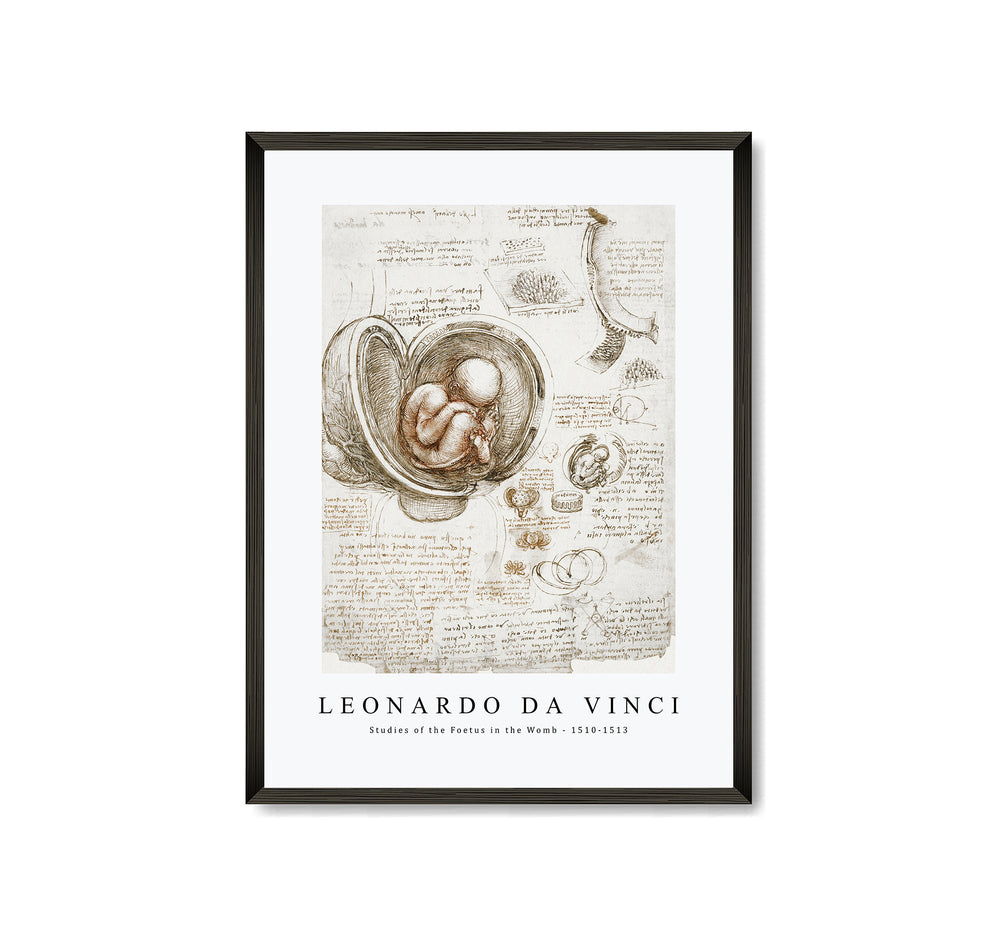 Leonardo Da Vinci - Studies of the Foetus in the Womb 1510-1513