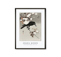 
              Ohara Koson - Crow and cherry blossom (1930 - 1975) by Ohara Koson (1877-1945)
            