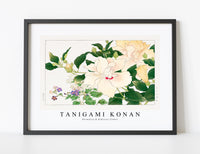 
              Tanigami Konan - Browallia & Hibiscus flower
            