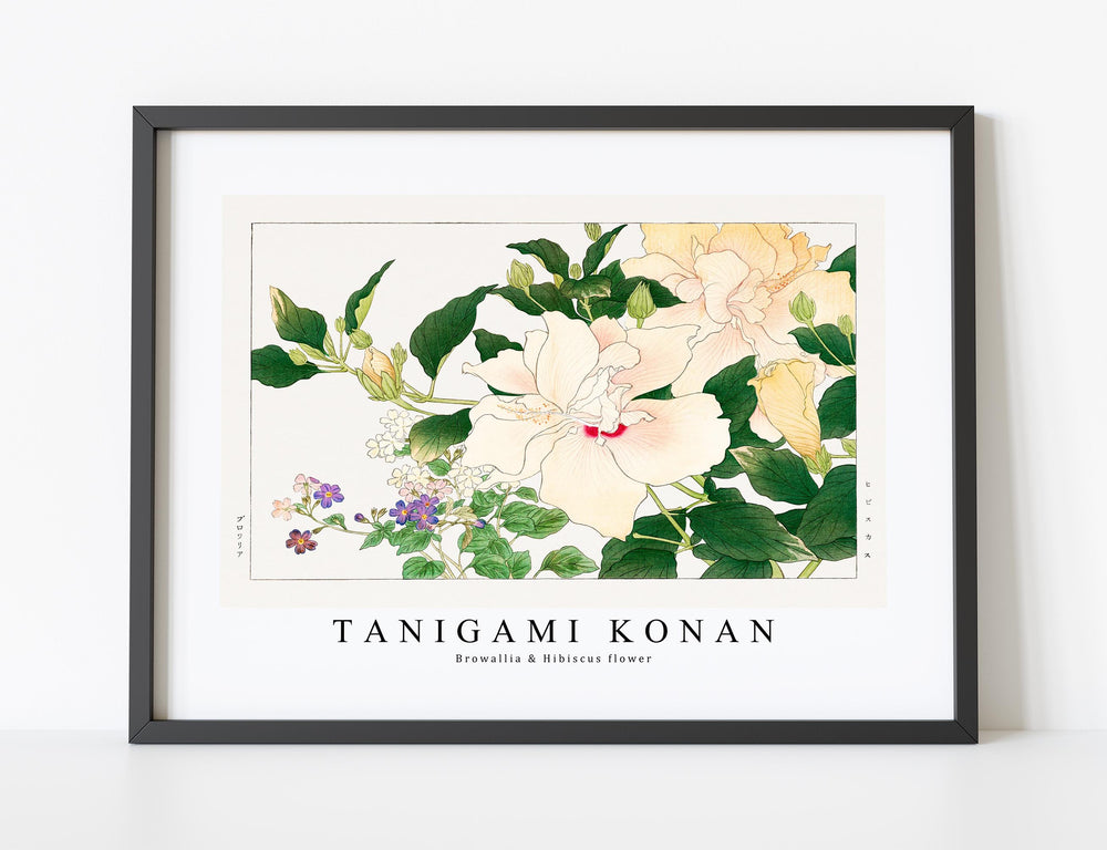 Tanigami Konan - Browallia & Hibiscus flower