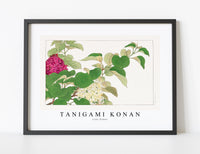 
              Tanigami Konan - Lilac flower
            