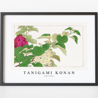 Tanigami Konan - Lilac flower