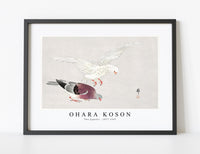 
              Ohara Koson - Two pigeons (1877-1945) by Ohara Koson (1877-1945)
            
