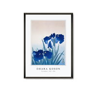 
              Ohara Koson - Iris flowers (1925 - 1936) by Ohara Koson (1877-1945)
            