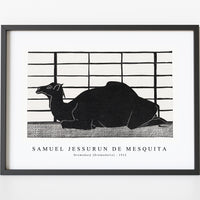 Samuel Jessurun De Mesquita - Dromedary (Dromedaris) (1912)