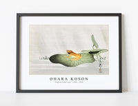 
              Ohara Koson - Frog on lotus leaf (1900 - 1930) by Ohara Koson (1877-1945)
            