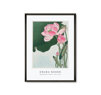 
              Ohara Koson - Blooming lotus flowers (1920 - 1930) by Ohara Koson (1877-1945)
            