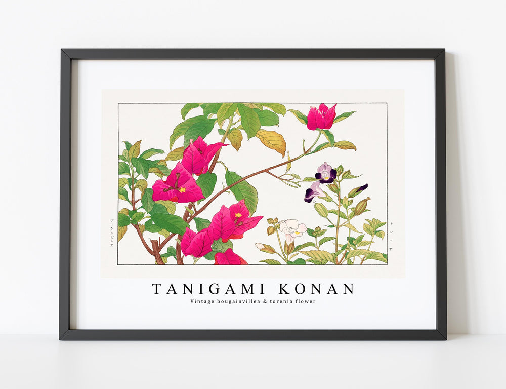 Tanigami Konan - Vintage bougainvillea & torenia flower