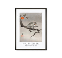 
              Ohara Koson - Monkey in cockatoo (1900 - 1930) by Ohara Koson (1877-1945)
            