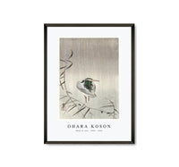 
              Ohara Koson - Kwak in rain (1900 - 1936) by Ohara Koson (1877-1945)
            