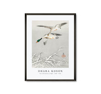 
              Ohara Koson - Two wild ducks in flight (1900 - 1936) by Ohara Koson (1877-1945)
            