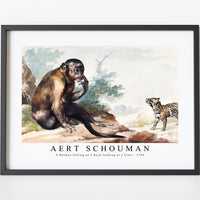 aert schouman - A Monkey Sitting on a Rock Looking at a Civet-1764