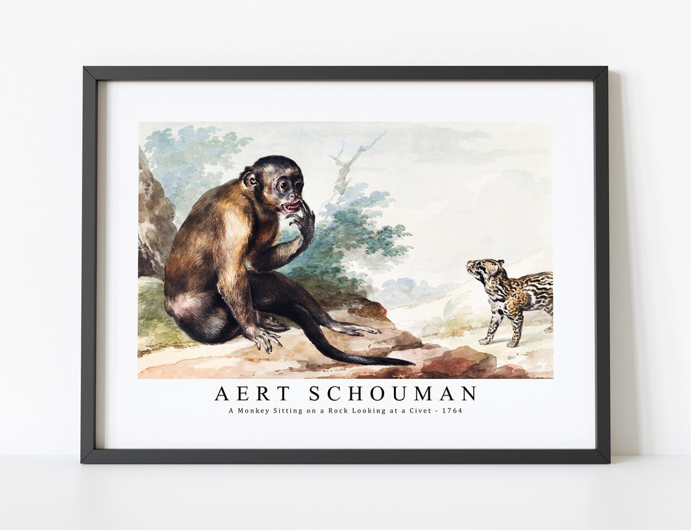 aert schouman - A Monkey Sitting on a Rock Looking at a Civet-1764