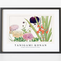 Tanigami Konan - Vintage scabiosa & montbretia flower
