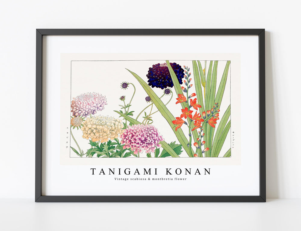 Tanigami Konan - Vintage scabiosa & montbretia flower