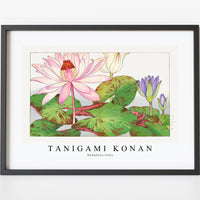 Tanigami Konan - Nymphaea lotus