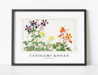 
              Tanigami Konan - Aquilegia flower
            