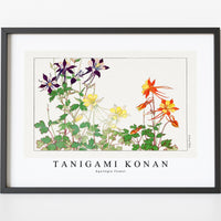 Tanigami Konan - Aquilegia flower