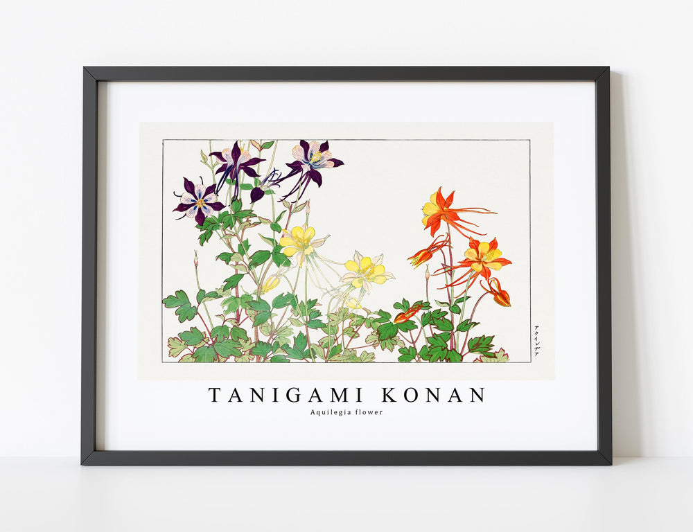 Tanigami Konan - Aquilegia flower