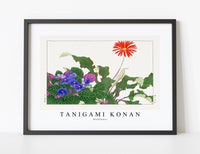 
              Tanigami Konan - Wildflower
            