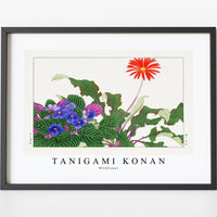 Tanigami Konan - Wildflower