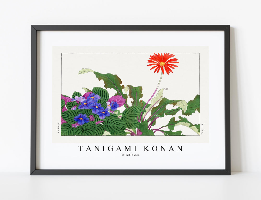 Tanigami Konan - Wildflower