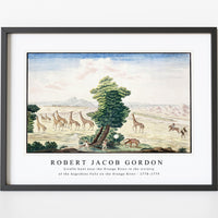 Robert Jacob Gordon - Giraffe-hunt near the Orange River in the vicinity of the Augrabies Falls on the Orange River (1778–1779)
