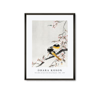 
              Ohara Koson - Two sable red tails with cherry blossom (1900 - 1936) by Ohara Koson (1877-1945)
            