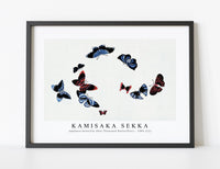 
              Kamisaka Sekka - Japanese butterfly (One Thousand Butterflies) - 1904 (12)
            