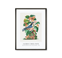 
              James bolton - Beautiful Nuthatch, hazel, oak and bramble 1768
            