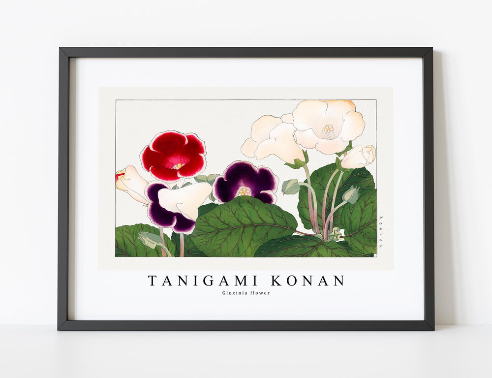 Tanigami Konan - Gloxinia flower