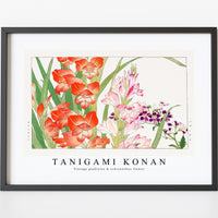 Tanigami Konan - Vintage gladiolus & schizanthus flower