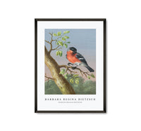 
              Barbara Regina Dietzsch - Goudvink (Eurasian Bullfinch)
            