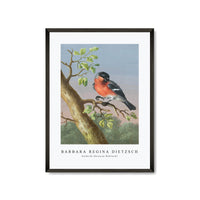 Barbara Regina Dietzsch - Goudvink (Eurasian Bullfinch)