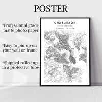 
              Charleston, South Carolina Scandinavian Map Print 
            