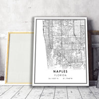 
              Naples, Florida Modern Map Print 
            