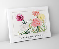 
              Tanigami Konan - Carnation flower
            