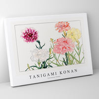 Tanigami Konan - Carnation flower