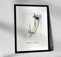 
              Ohara Koson - Kingfisher and irises (1900 - 1930) by Ohara Koson (1877-1945)
            