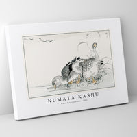 Numata Kashu - White Fronted Goose illustration from Pictorial Monograph of Birds (1885)