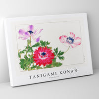 Tanigami Konan - Poppy flower