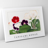 Tanigami Konan - Gloxinia flower