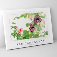 Tanigami Konan - Albizia & aristolochia flower