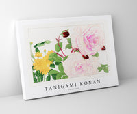 
              Tanigami Konan - Vintage rose
            