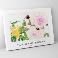 Tanigami Konan - Vintage rose