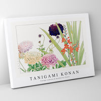 Tanigami Konan - Vintage scabiosa & montbretia flower