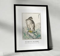 
              Numata Kashu - Japanese Golden Eagle and Dark Blue Sea illustration from Pictorial Monograph of Birds (1885)
            