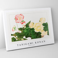 Tanigami Konan - Begonia flower